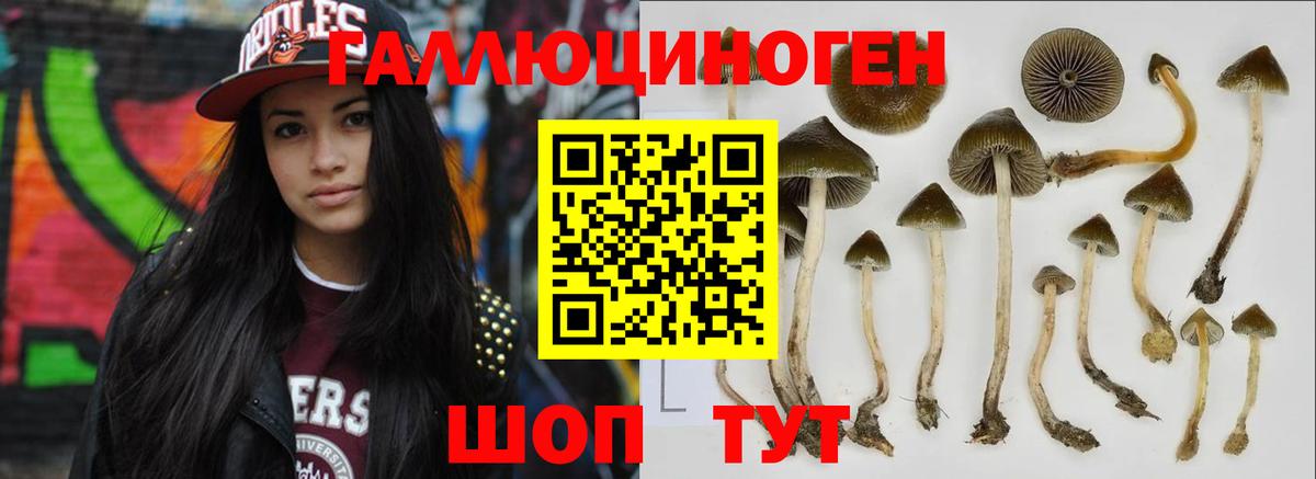 Псилоцибиновые грибы MAGIC MUSHROOMS  купить  цена  Кандалакша  Галлюциногенные грибы Magic Shrooms  Вход с VPN 